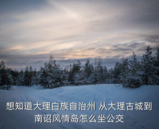 想知道大理白族自治州 從大理古城到南詔風情島怎么坐公交