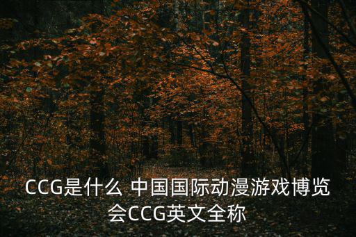中國國際動漫游戲博覽會，第五屆中國國際動漫游戲博覽會的門票多少錢