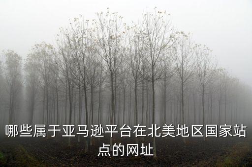 美國亞馬遜網址，哪些屬于亞馬遜平臺在北美地區國家站點的網址