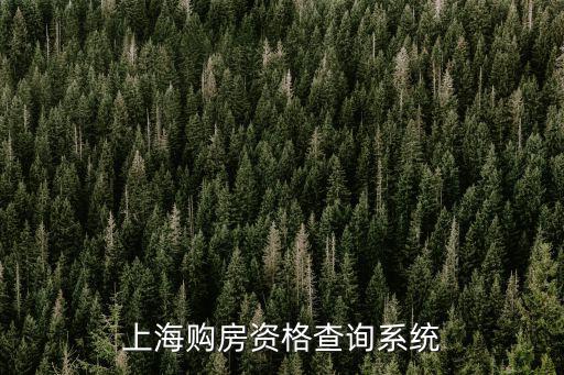 上海購房資格查詢系統
