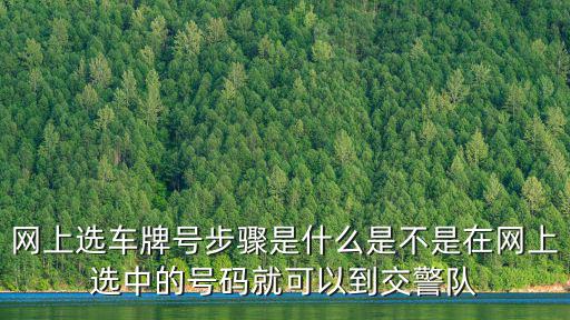網上選車牌號步驟是什么是不是在網上選中的號碼就可以到交警隊