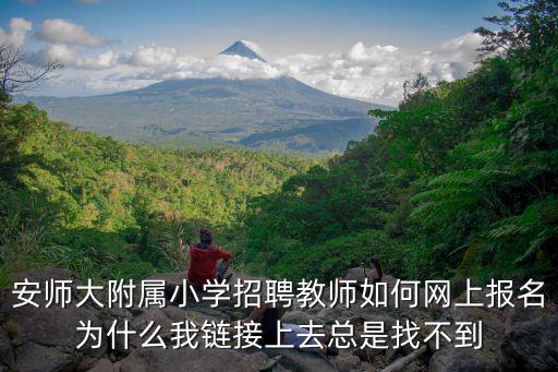 安師大附屬小學招聘教師如何網上報名為什么我鏈接上去總是找不到