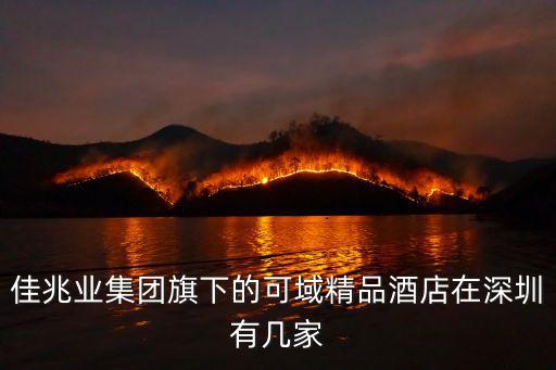 佳兆業集團旗下的可域精品酒店在深圳有幾家