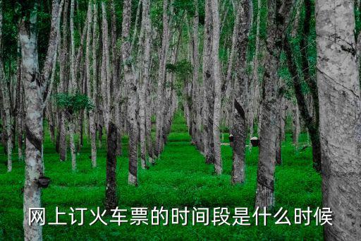 網(wǎng)上訂火車票的時間段是什么時候