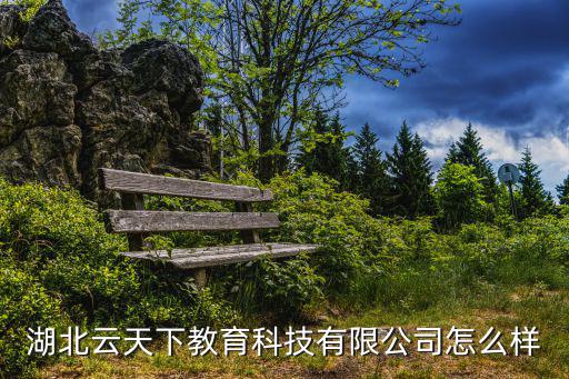 湖北云天下教育科技有限公司怎么樣