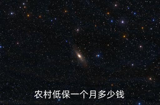 農(nóng)村低保一個(gè)月多少錢