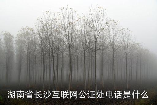 湖南省長沙互聯網公證處電話是什么