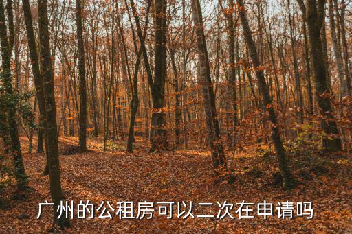 廣州的公租房可以二次在申請(qǐng)嗎
