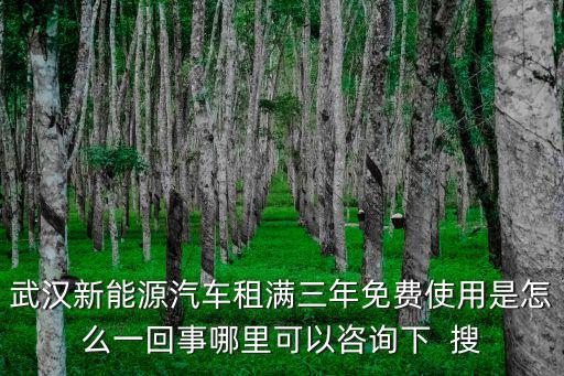 武漢新能源，武漢新能源汽車租滿三年免費使用是怎么一回事哪里可以咨詢下  搜