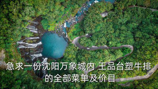 急求一份沈陽萬象城內 王品臺塑牛排 的全部菜單及價目