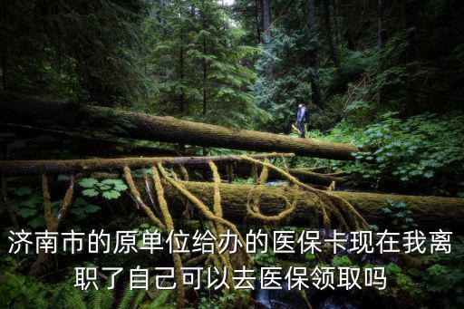 濟南市的原單位給辦的醫保卡現在我離職了自己可以去醫保領取嗎