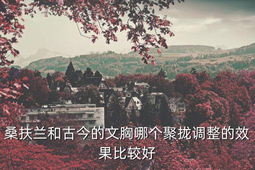 桑扶蘭和古今的文胸哪個聚攏調整的效果比較好