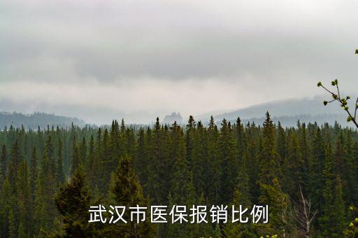 武漢市醫(yī)保報銷比例