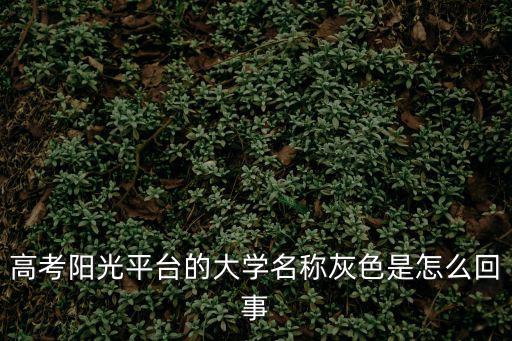 陽光高考信息網，高考陽光平臺的大學名稱灰色是怎么回事