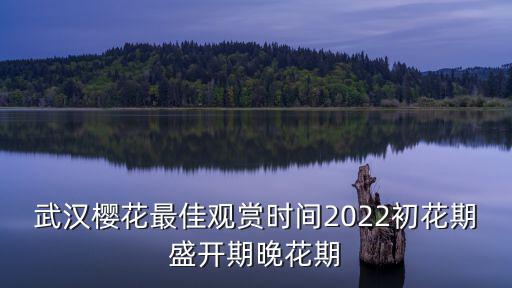 武漢櫻花最佳觀賞時(shí)間2022初花期盛開期晚花期