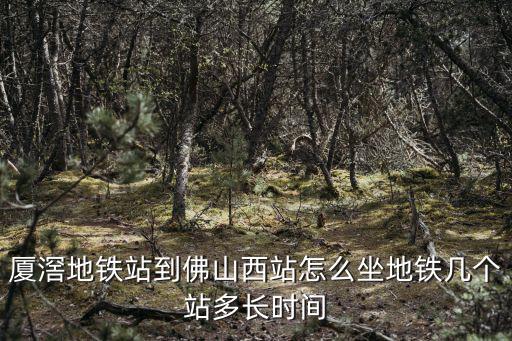 廈滘地鐵站到佛山西站怎么坐地鐵幾個站多長時間