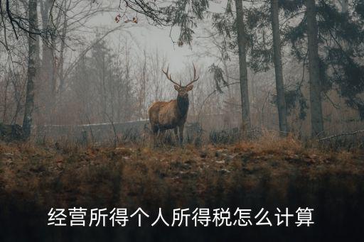 經營所得個人所得稅怎么計算