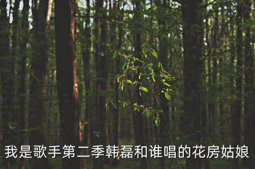 我是歌手第二季韓磊和誰唱的花房姑娘