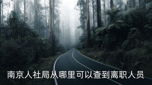南京人社局從哪里可以查到離職人員