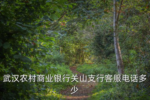 武漢農村商業銀行關山支行客服電話多少