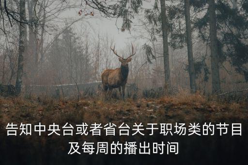 告知中央臺或者省臺關于職場類的節目及每周的播出時間