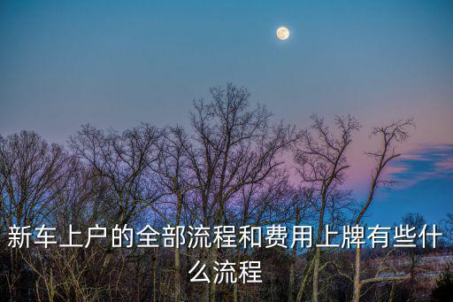 新車上牌照流程，從提車到上牌照應通過哪些流程如保險各種稅費哪個在前