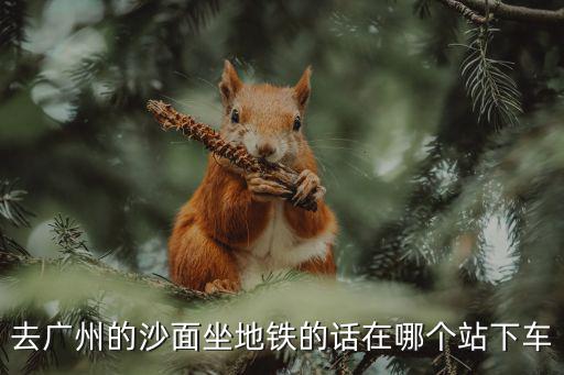 去廣州的沙面坐地鐵的話在哪個站下車
