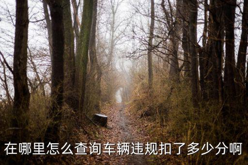 在哪里怎么查詢車輛違規扣了多少分啊