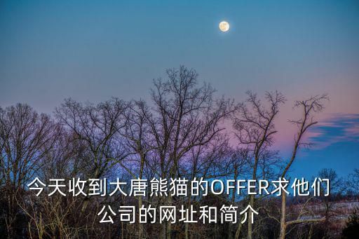 今天收到大唐熊貓的OFFER求他們公司的網(wǎng)址和簡介