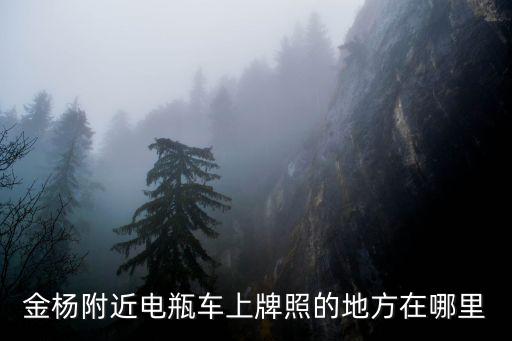 附近電動車上牌地點，金楊附近電瓶車上牌照的地方在哪里