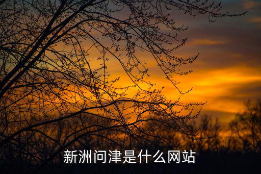 新洲問津是什么網站