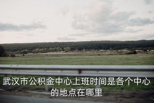 武漢市公積金中心上班時間是各個中心的地點在哪里