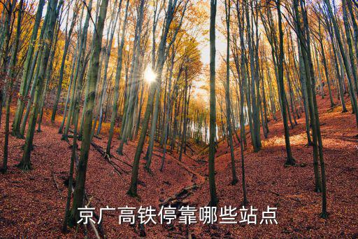 京廣高鐵停靠哪些站點