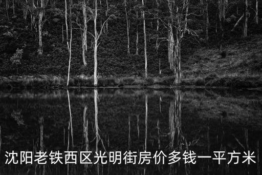 沈陽老鐵西區(qū)光明街房?jī)r(jià)多錢一平方米