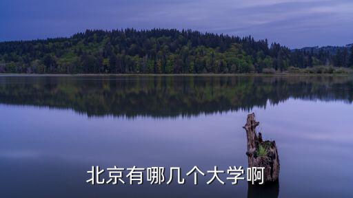 北京都有哪些大學(xué)，北京有哪幾個大學(xué)啊