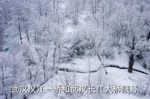 武漢漢江一橋和武漢長(zhǎng)江大橋限號(hào)