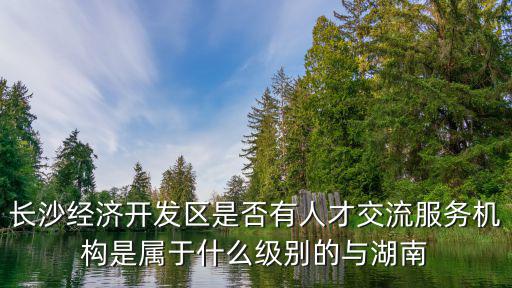 長沙經濟開發區是否有人才交流服務機構是屬于什么級別的與湖南
