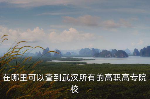 在哪里可以查到武漢所有的高職高專院校