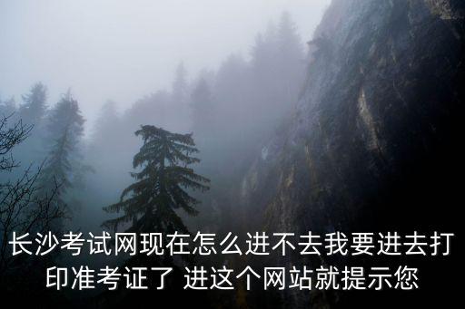 長沙考試網現在怎么進不去我要進去打印準考證了 進這個網站就提示您