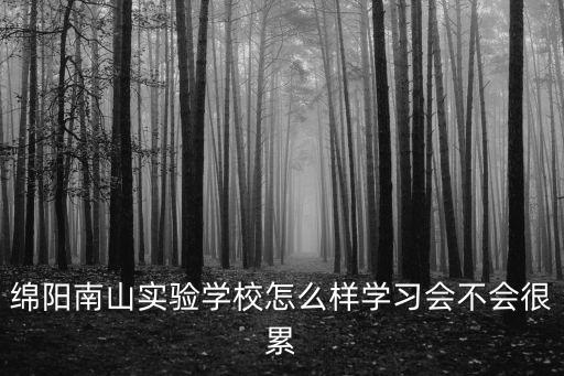 綿陽南山實驗學校怎么樣學習會不會很累