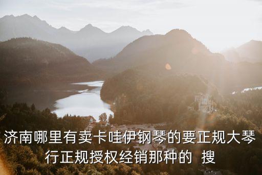 濟南哪里有賣卡哇伊鋼琴的要正規大琴行正規授權經銷那種的  搜