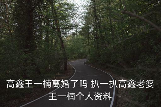 高鑫王一楠離婚了嗎 扒一扒高鑫老婆王一楠個人資料