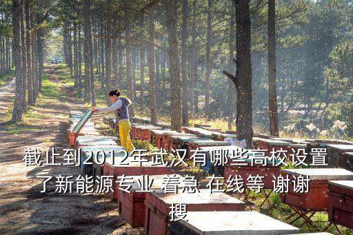 截止到2012年武漢有哪些高校設置了新能源專業 著急 在線等 謝謝  搜