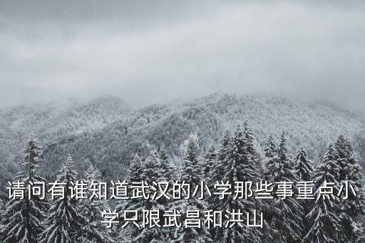 請問有誰知道武漢的小學那些事重點小學只限武昌和洪山