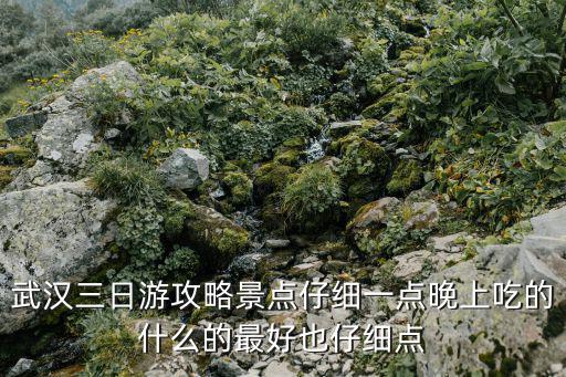 武漢三日游攻略景點仔細一點晚上吃的什么的最好也仔細點