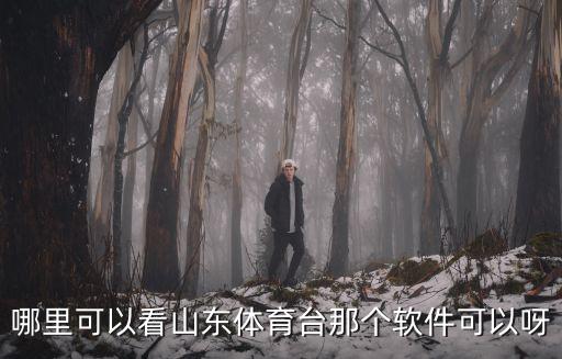 哪里可以看山東體育臺那個軟件可以呀