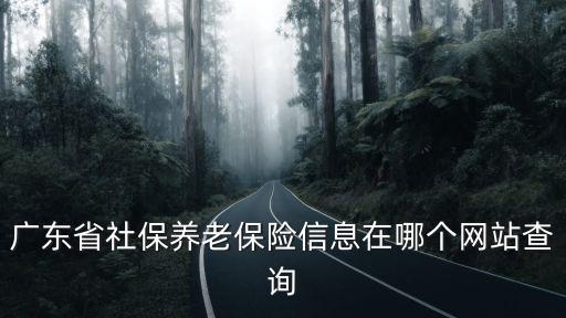廣東省社保養(yǎng)老保險(xiǎn)信息在哪個(gè)網(wǎng)站查詢