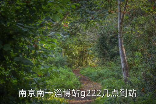 g222，南京南一淄博站g222幾點(diǎn)到站