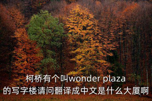 ffc大廈，柯橋有個叫wonder plaza的寫字樓請問翻譯成中文是什么大廈啊