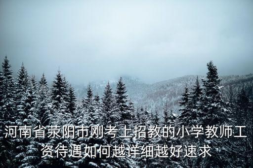 河南省滎陽市剛考上招教的小學教師工資待遇如何越詳細越好速求